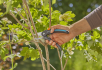 Gardena - Zahradní nůžky PremiumCut