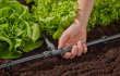 Gardena - Mds - Trubka pokladací Flex 13mm, 50m
