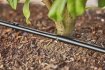 Gardena - Mds - Kapací hadice 13mm, 25m
