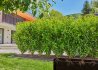 Gardena - Mds - Kapací hadice 13mm, 25m