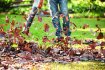 STIHL - Akumulátorový foukač BGA 57 SET+ (2xAK20+AL101) - AK-SYSTEM
