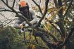 STIHL - Akumulátorová pila GTA 40 SET (2x AS2+AL5-2) - AS-SYSTEM