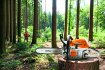 STIHL - Motorová pila MS 241 C-M