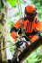 STIHL - Akumulátorová pila MSA 161 T - AP-SYSTEM