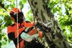 STIHL - Akumulátorová pila MSA 161 T - AP-SYSTEM