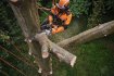 STIHL - Akumulátorová pila MSA 220 TC-O - AP-SYSTEM